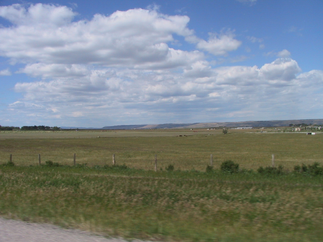 This picture is for quick loading of picture.