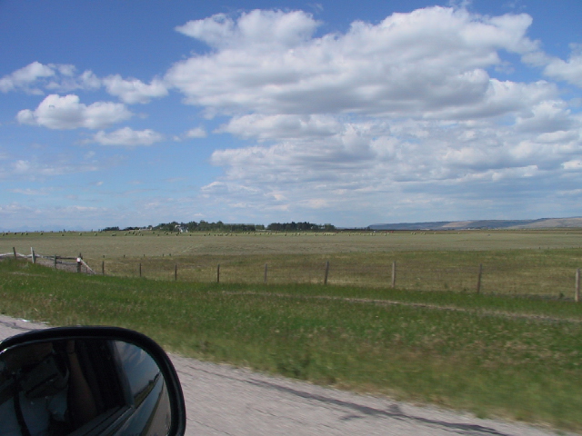 This picture is for quick loading of picture.