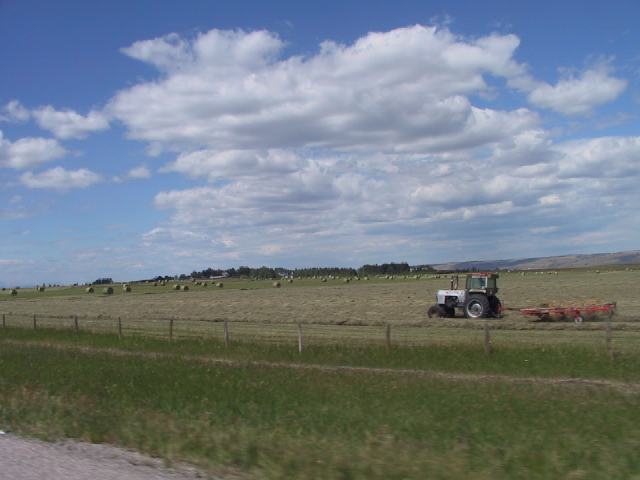 This picture is for quick loading of picture.