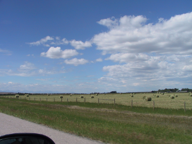 This picture is for quick loading of picture.