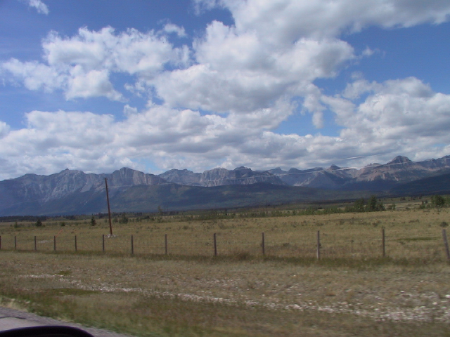 This picture is for quick loading of picture.