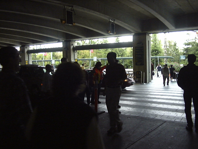 This picture is for quick loading of picture.