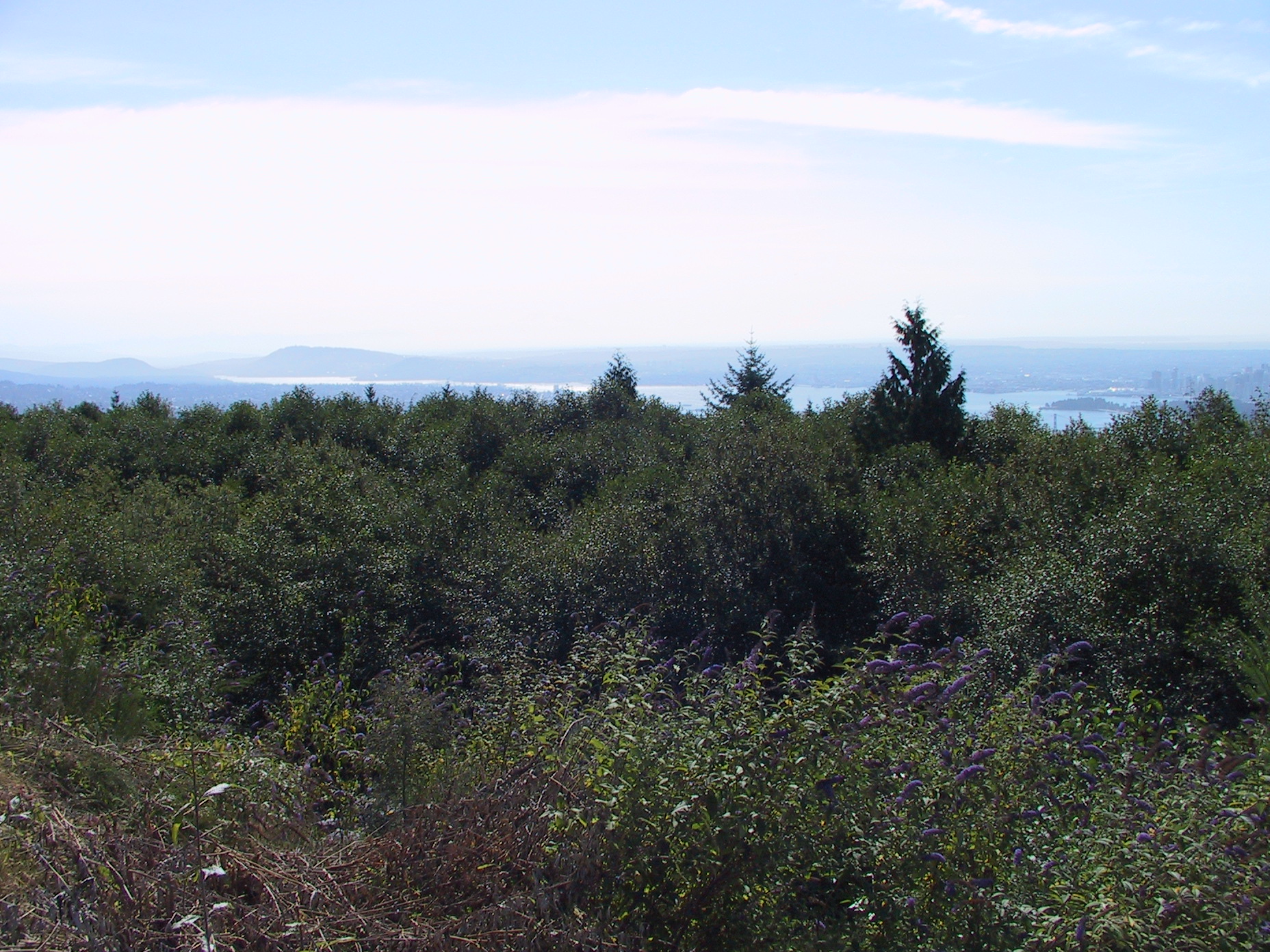 This picture is for quick loading of picture.