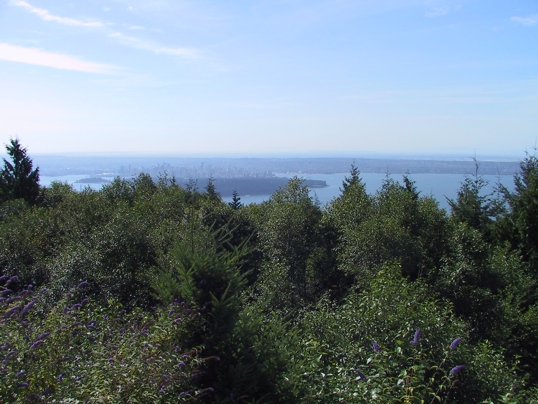 This picture is for quick loading of picture.