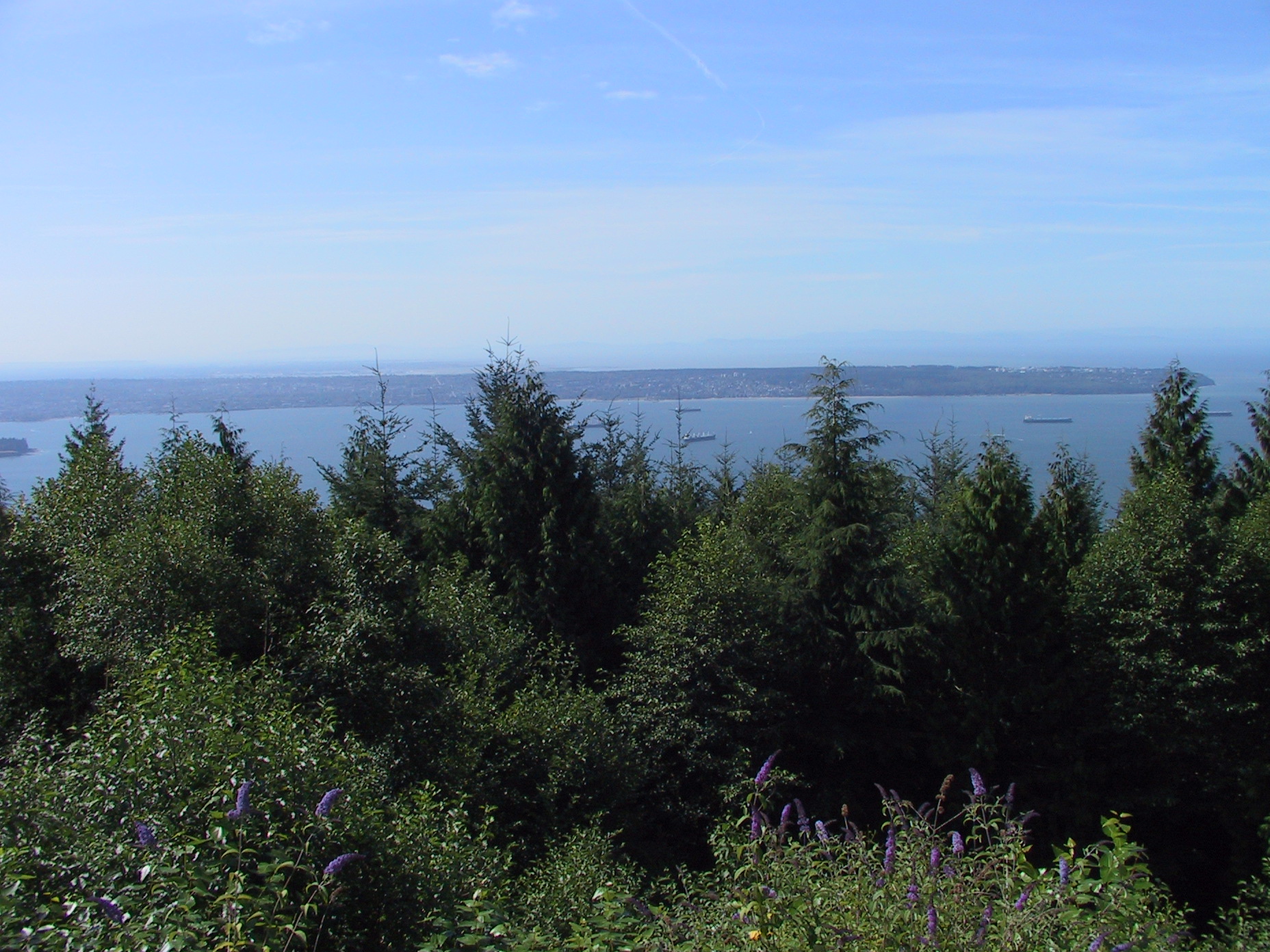 This picture is for quick loading of picture.