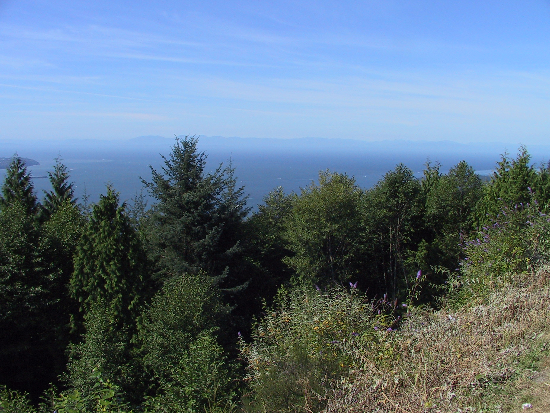 This picture is for quick loading of picture.