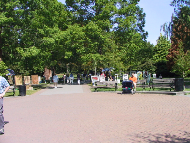 This picture is for quick loading of picture.