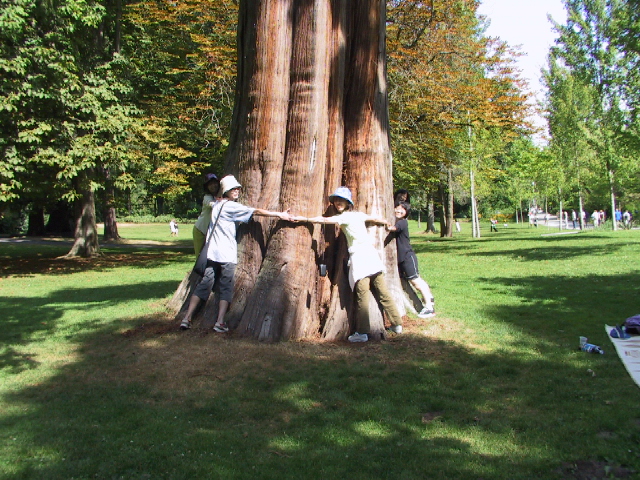 This picture is for quick loading of picture.