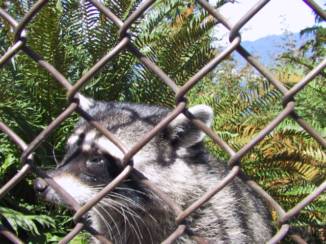 This picture is for quick loading of picture.