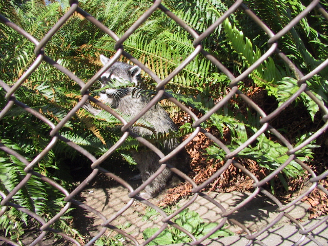 This picture is for quick loading of picture.