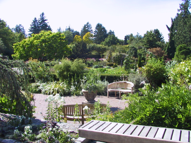 This picture is for quick loading of picture.