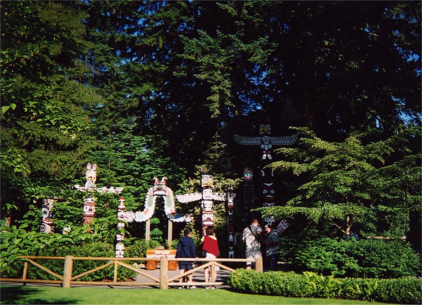 This picture is for quick loading of picture.