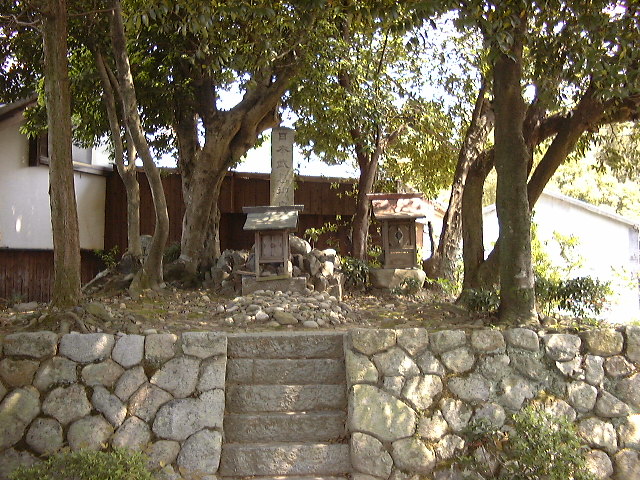 This picture is for quick loading of picture.