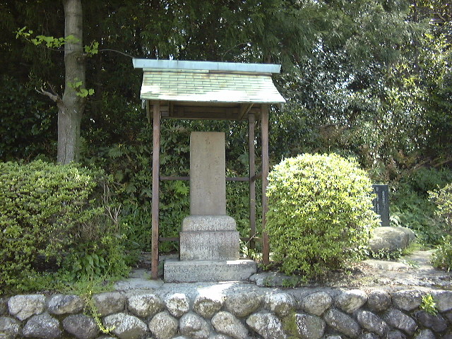 This picture is for quick loading of picture.