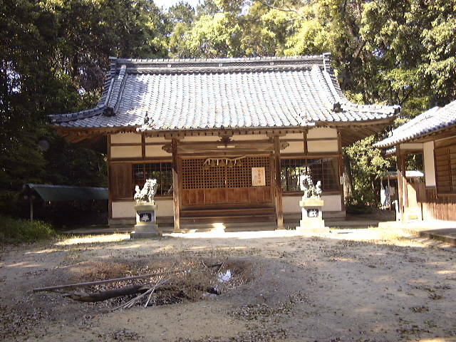 This picture is for quick loading of picture.