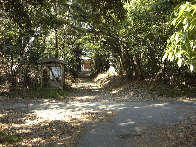 This picture is for quick loading of picture.