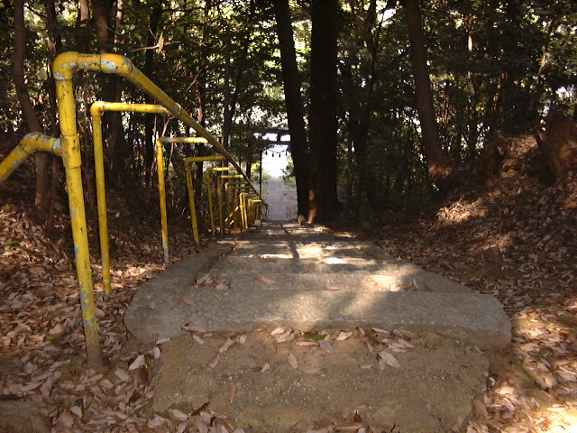 This picture is for quick loading of picture.