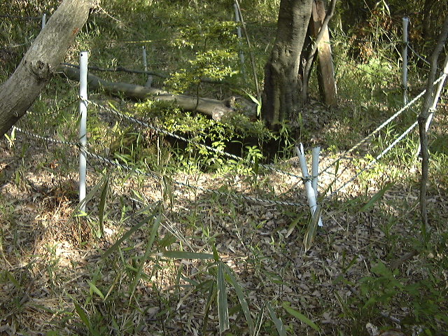 This picture is for quick loading of picture.