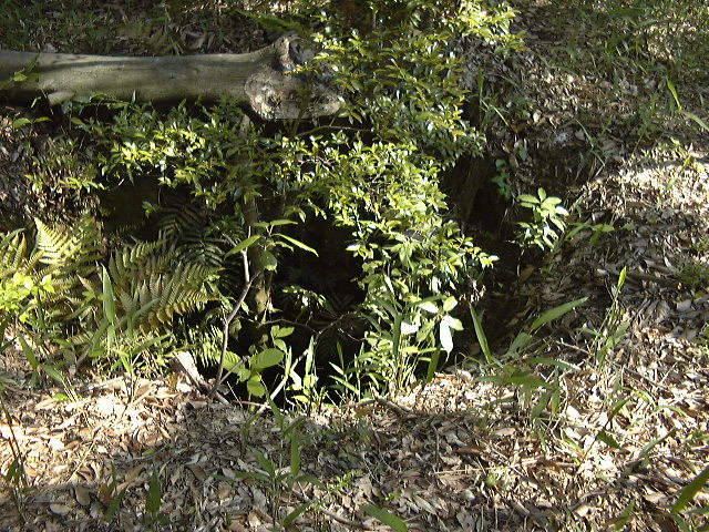 This picture is for quick loading of picture.