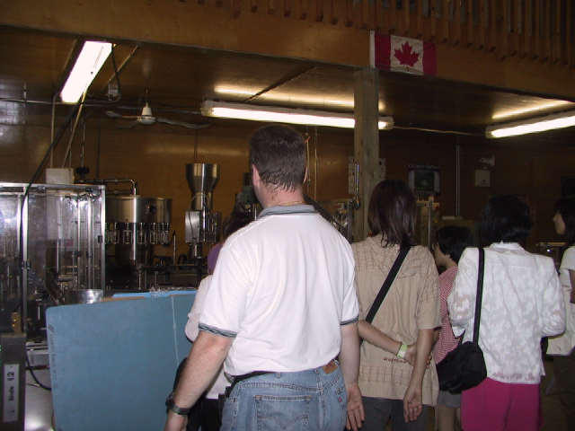 This picture is for quick loading of picture.