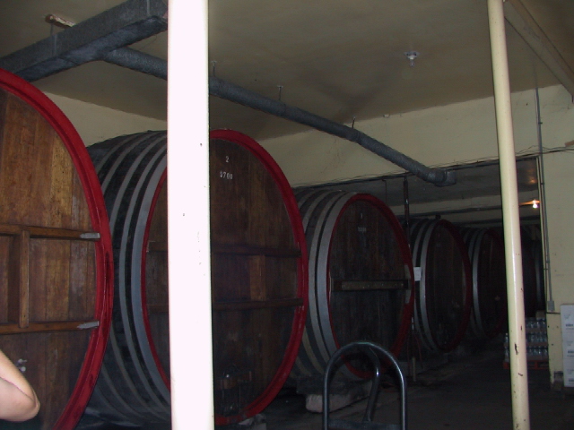 This picture is for quick loading of picture.