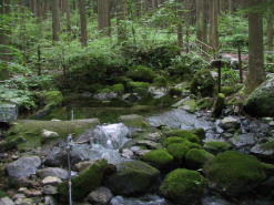 ���i�C���[�W