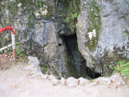 ���i�C���[�W